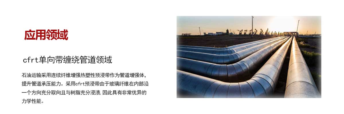 石油管(guan)道領域(yù)