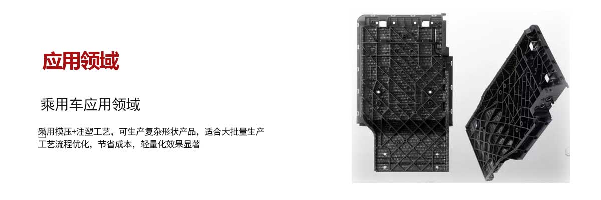 乘用車(chē)應用領(ling)域